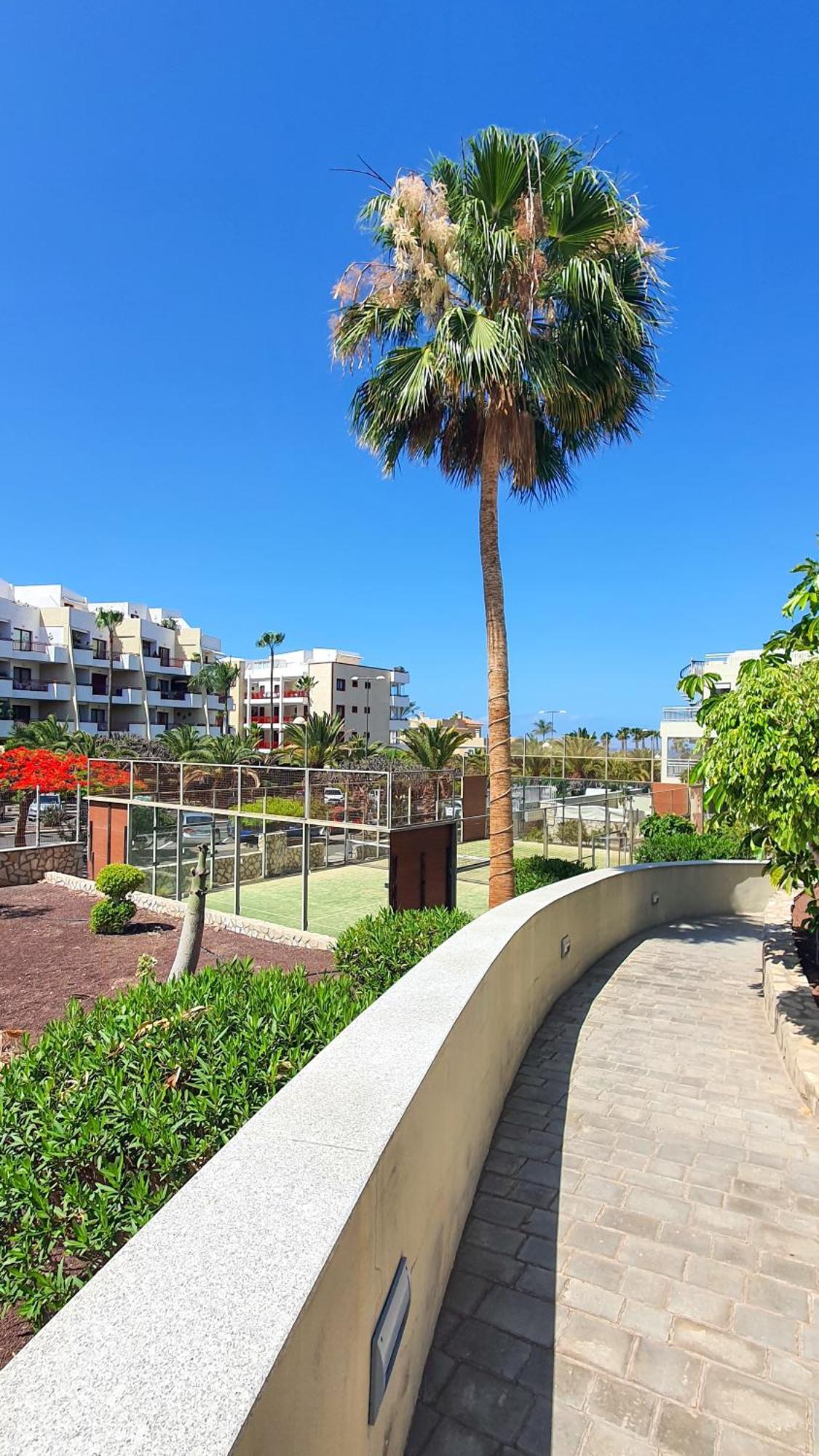Апартаменты Terraza Sea & Sun Эль-Пальмар Экстерьер фото